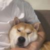 奋斗