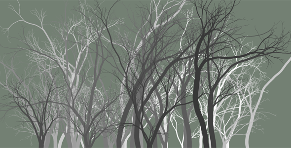 Canvas夜晚的树林HTML5代码