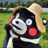 李东东