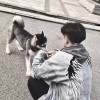 三桥