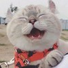 偏见