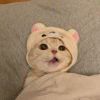 蓦阑
