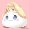 猫先生