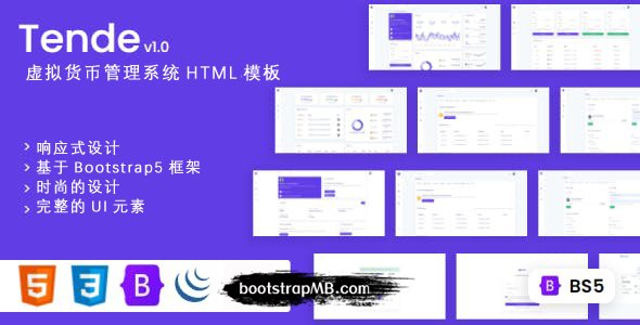 响应设计货币管理系统HTML5模板
