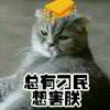 清