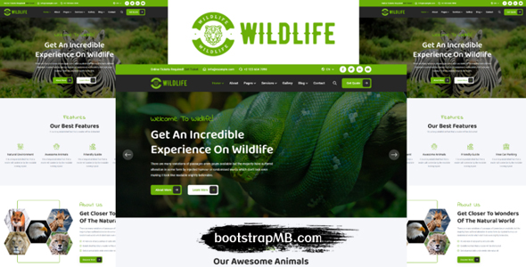 三种样式动物园网站html5模板 - Wildlife源码下载