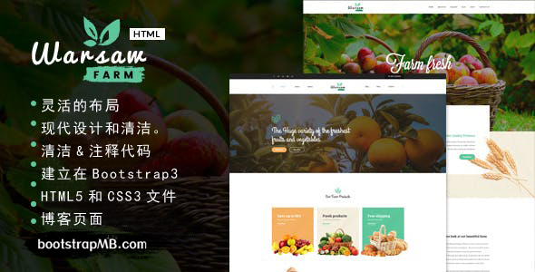 有机食品商店HTML5和CSS3模板