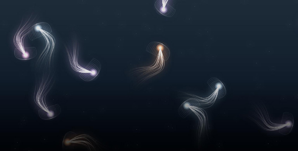 canvas水母网页动画效果
