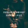 啊琪