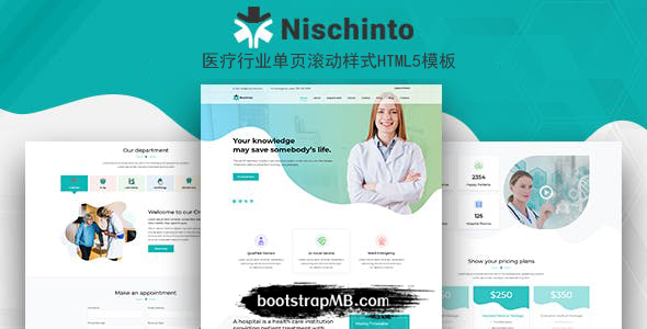 医疗行业单页滚动样式网站模板 - Nischinto源码下载