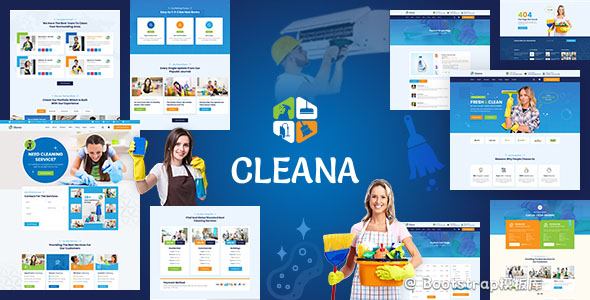 2种清洁服务保洁公司网站模板 - Cleana源码下载