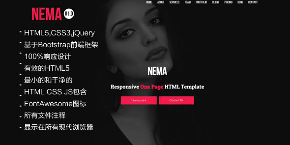 炫酷单页Bootstrap视差滚动HTML模板 - Nema源码下载