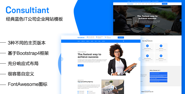 蓝色IT公司企业网站Bootstrap4模板 - Consultiant源码下载