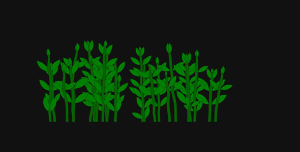 canvas植物在夜间生长h5动画