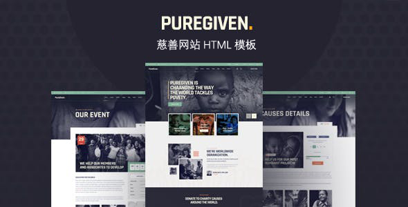慈善筹款公益组织平台网页模板 - Puregiven源码下载