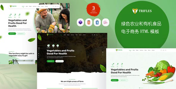 绿色的农业和有机食品HTML模板