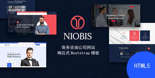 HTML5咨询业务公司网站静态模板 - NioBis源码下载