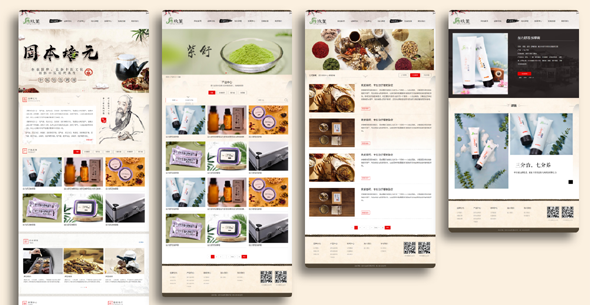 中国风健康养生网站HTML模板