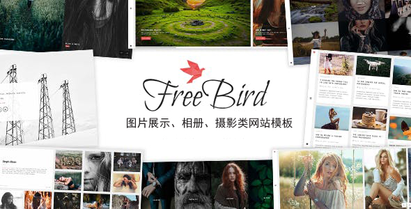 图片展示、相册、摄影类网站模板 - FreeBird源码下载