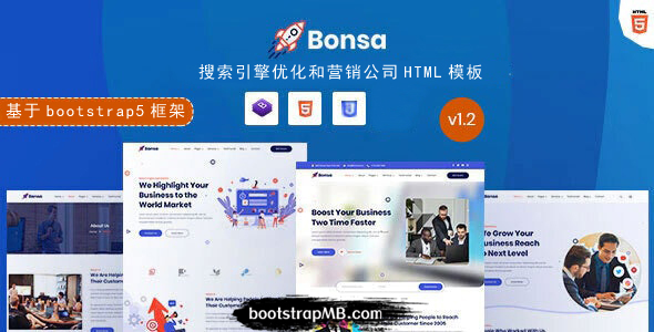 互联网营销软件服务企业网站模板 - Bonsa源码下载
