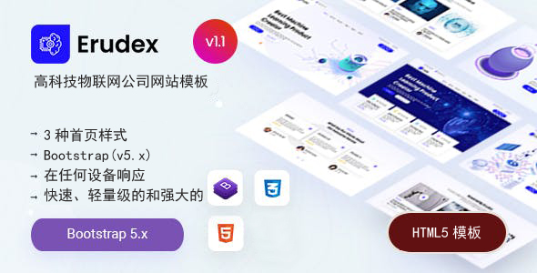 高科技物联网公司网站模板 - Erudex源码下载