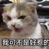 执子之手一起遛狗