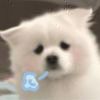 hdou