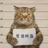 肆凤