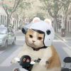 霓虹