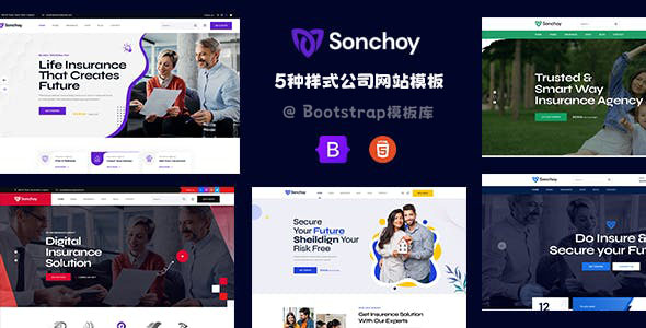 5种通用的企业网站模板源码 - Sonchoy源码下载