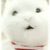 ID702695