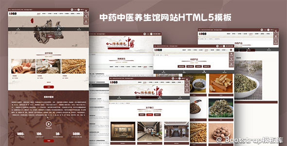 中药中医养生馆网站HTML5模板