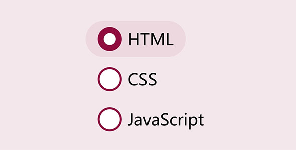 HTML+CSS 单选按钮