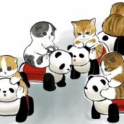 种土豆的小女孩儿