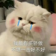 被迫改名的豆子