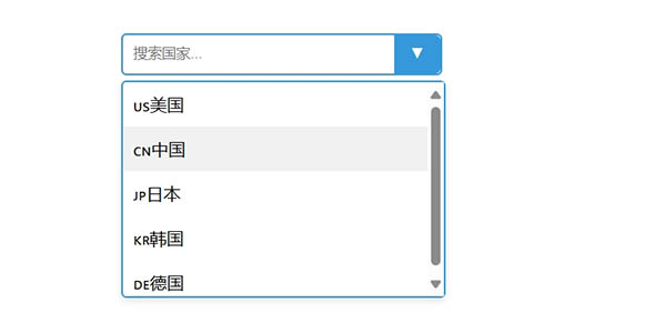 JavaScript特殊下拉框 带搜索