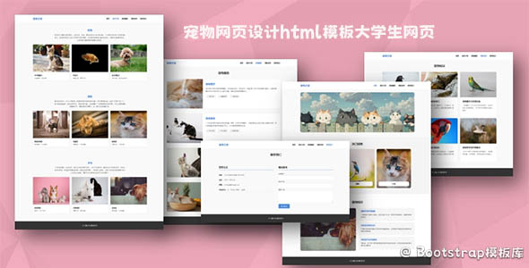 宠物网页设计html模板大学生网页