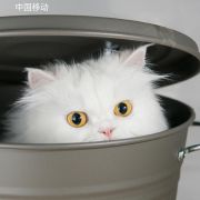 用户7231229789