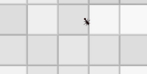 网页上小虫子爬动效果源码下载